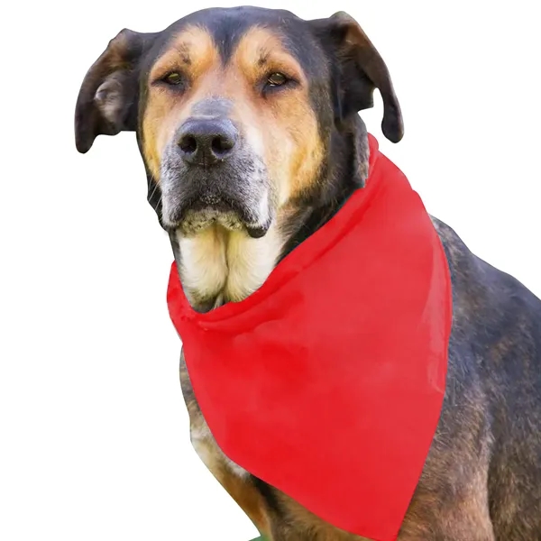 Dog Bandana.... from ASI 40480 Koozie Group