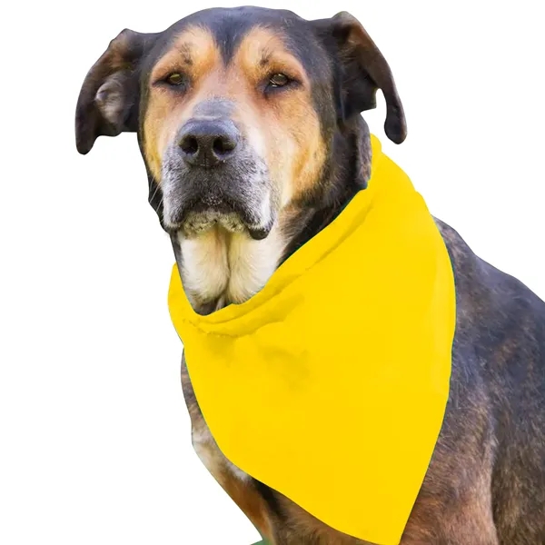 Dog Bandana.... from ASI 40480 Koozie Group