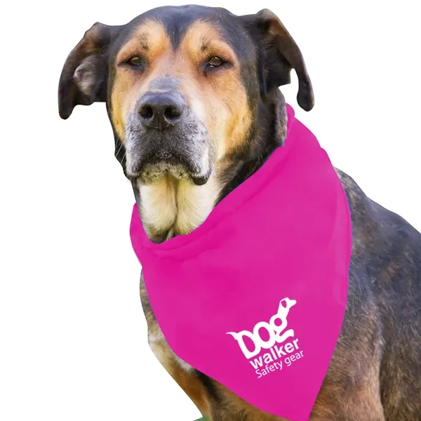 Dog Bandana.... from ASI 40480 Koozie Group