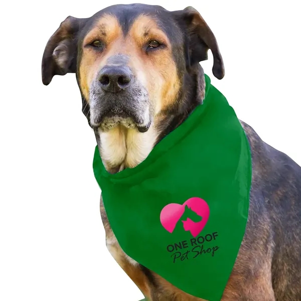 Dog Bandana.... from ASI 40480 Koozie Group
