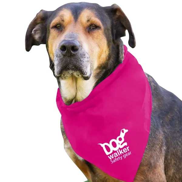 Dog Bandana.... from ASI 40480 Koozie Group