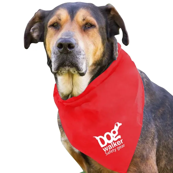 Dog Bandana.... from ASI 40480 Koozie Group