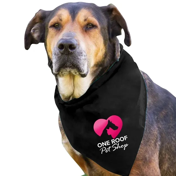 Dog Bandana.... from ASI 40480 Koozie Group