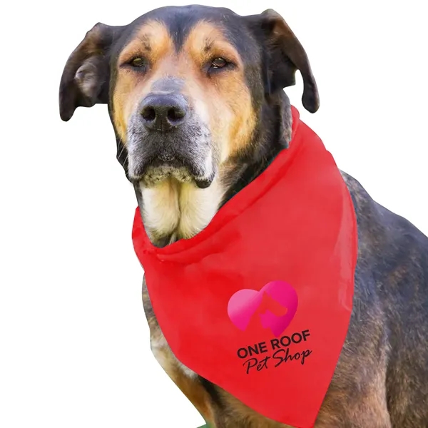 Dog Bandana.... from ASI 40480 Koozie Group