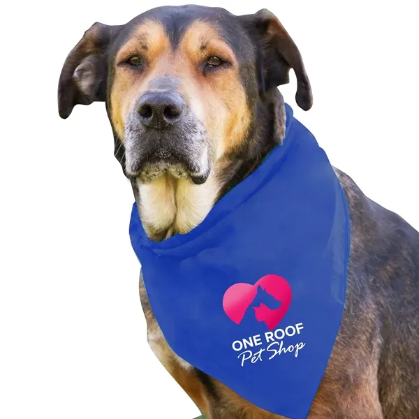 Dog Bandana.... from ASI 40480 Koozie Group