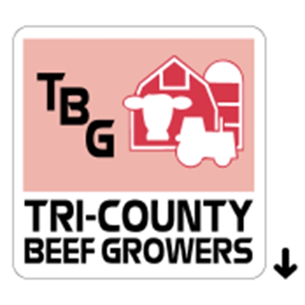 2" x 2" square shaped roll labels with a one color... from ASI 89910 Stouse, LLC