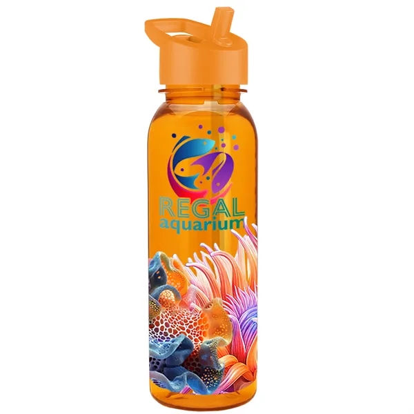 24 oz  Bottle with flip straw lid.... from ASI 40480 Koozie Group