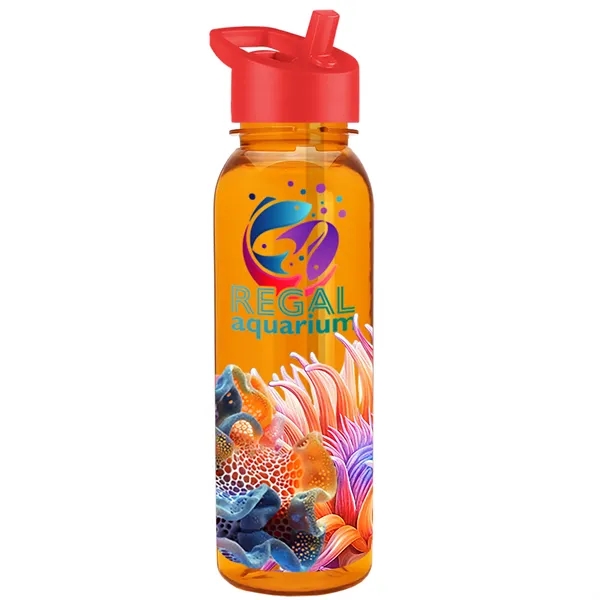 24 oz  Bottle with flip straw lid.... from ASI 40480 Koozie Group