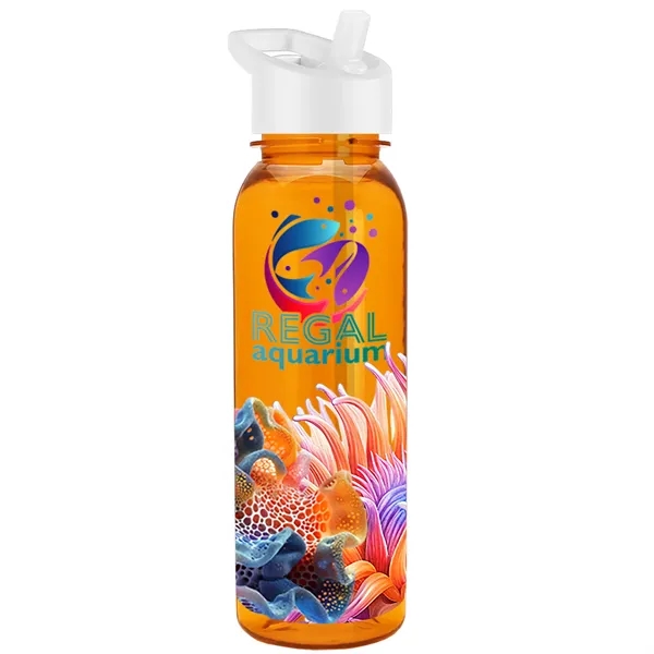 24 oz  Bottle with flip straw lid.... from ASI 40480 Koozie Group