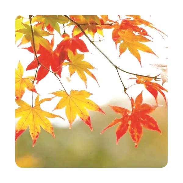 Thanksgiving Stock Jar Opener offers billboard-sized imprints.... from ASI 38980 Bay State Specialty Co