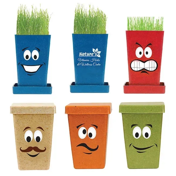 Expression Planter, 1-Pack Planter... from ASI 30270 Aakron Line