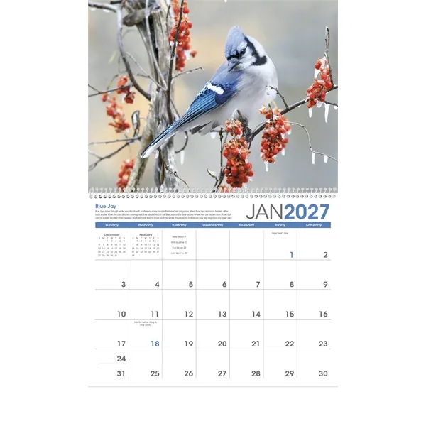 11 x 19 2024 Birds calendar on 70# paper with UV-coated... from ASI 40480 Koozie Group / Norwood Triumph Calendar