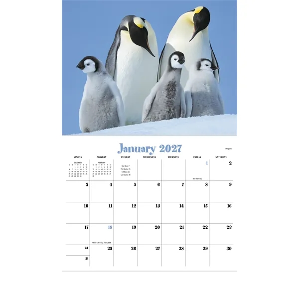 Animal Babies Appointment Calendar - Stapled... from ASI 40480 Koozie Group / HotLine®