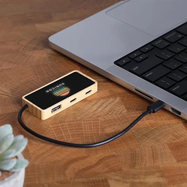 Bamboo USB hub with illuminated logo expands connectivity with multiple ports... from ASI 61966 HPG / OrigAudio HPG Gold