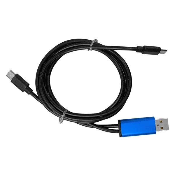 4 ft Dual Input A + C to C Accent Cable... from ASI 30208 A P Specialties / AP Specialties