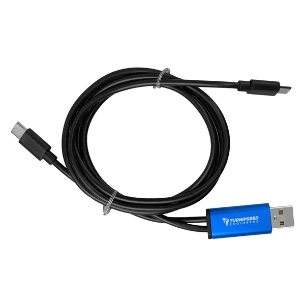 4 ft Dual Input A + C to C Accent Cable... from ASI 30208 A P Specialties / AP Specialties