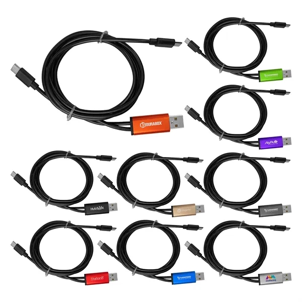 4 ft Dual Input A + C to C Accent Cable... from ASI 30208 A P Specialties / AP Specialties