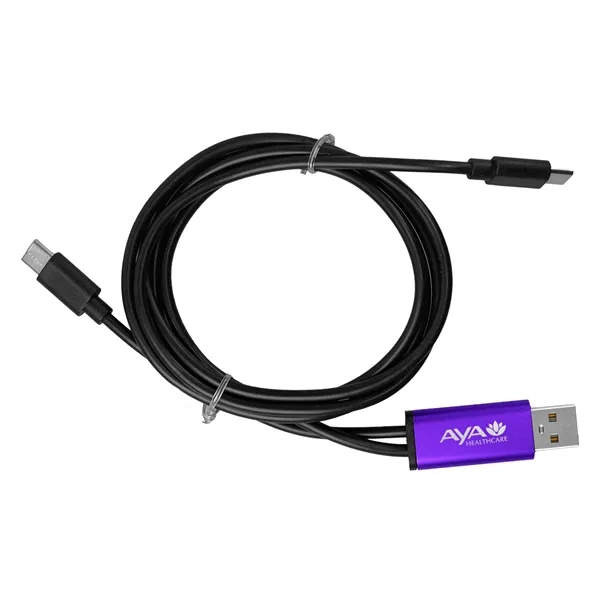 4 ft Dual Input A + C to C Accent Cable... from ASI 30208 A P Specialties / AP Specialties