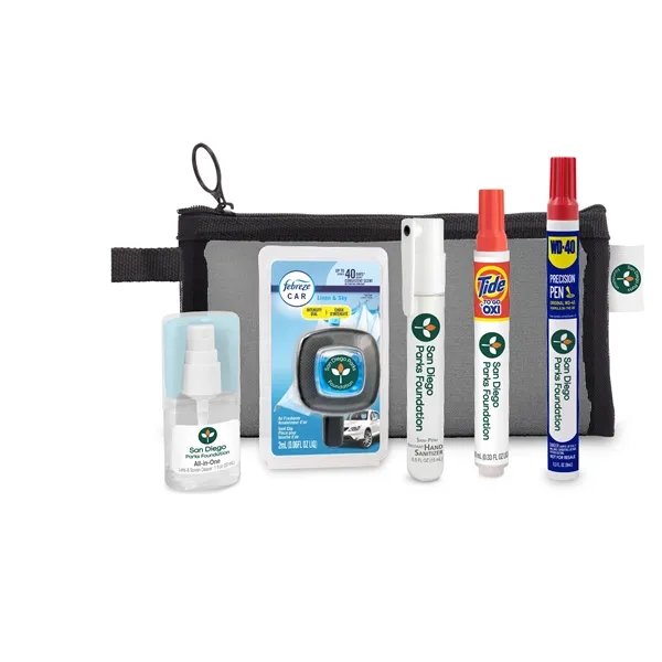 Lens Cleaner with cloth, Tide to Go Pen, Febreze Car Vent... from ASI 73497 Natural Trends