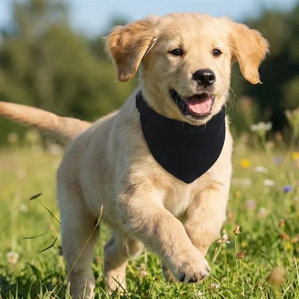 Adjustable pet bandana collar with logo imprint area for branded promotions.... from ASI 72657 Active Life Promo / Active Life