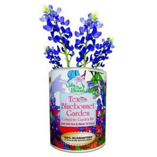 Texas Bluebonnet Garden in Eco-Friendly Grocan... from ASI 58295 Groline