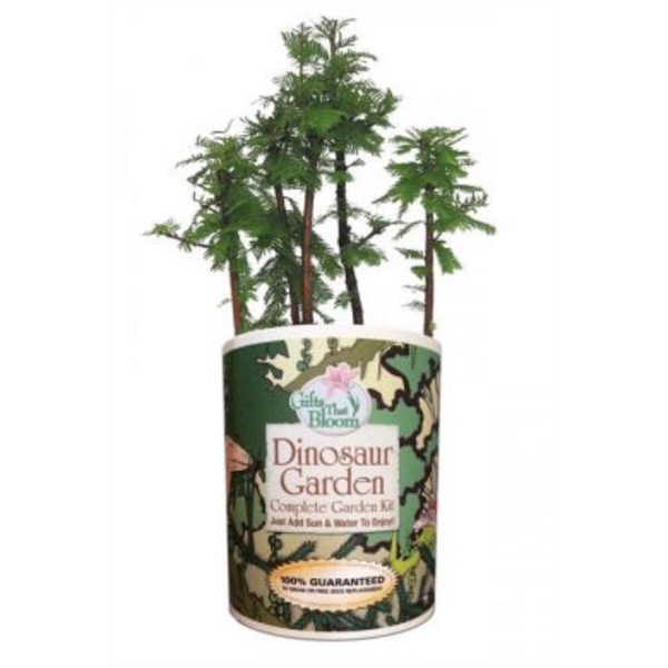 Dinosaur Garden in Eco-Friendly Grocan... from ASI 58295 Groline
