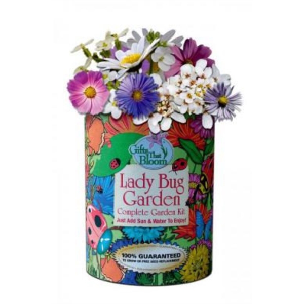 Lady Bug Garden in Eco-Friendly Grocan... from ASI 58295 Groline