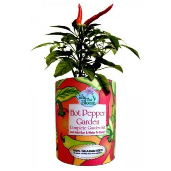 Hot Pepper Garden in Eco-Friendly Grocan... from ASI 58295 Groline