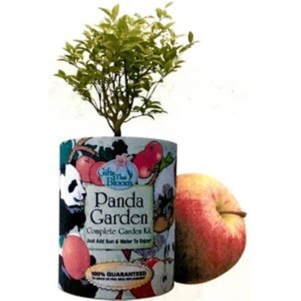 Panda Garden in Eco-Friendly Grocan... from ASI 58295 Groline