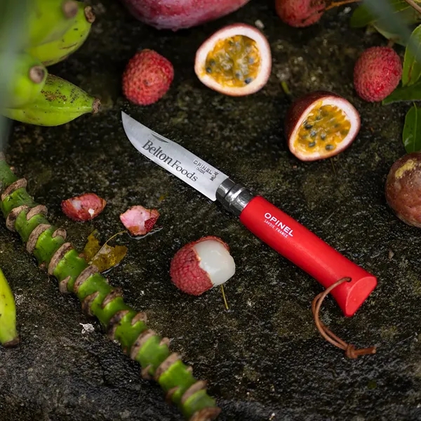 Opinel pocket knife, the No.08. 4.31" wooden handle. 3.28" stainless-steel blade... from ASI 46170 Compass Industries Inc