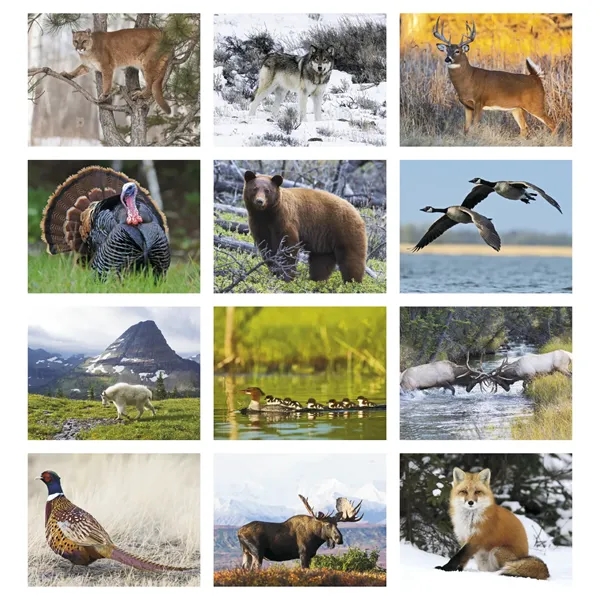 North American Wildlife... from ASI 40480 Koozie Group / Norwood Triumph Calendar