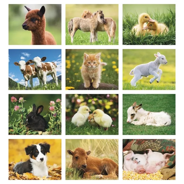 Baby Farm Animals - Stapled... from ASI 40480 Koozie Group / Norwood Triumph Calendar