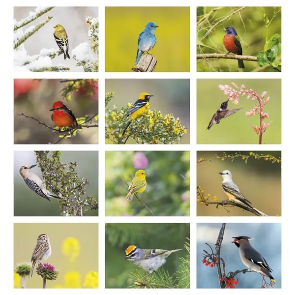 Birds of North America - Stapled... from ASI 40480 Koozie Group / Norwood Triumph Calendar