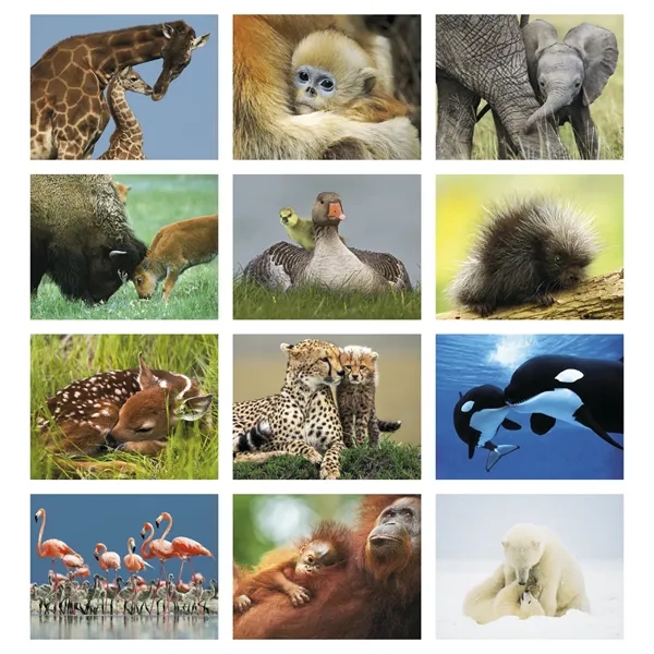 Animal Babies Appointment Calendar - Stapled... from ASI 40480 Koozie Group / HotLine®