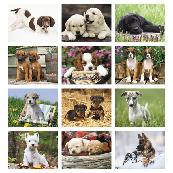 11 x 19 2024 Puppies calendar on 70# glossy paper with... from ASI 40480 Koozie Group / Norwood Triumph Calendar