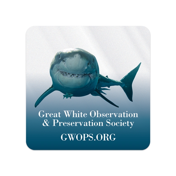 1 3/4" x 1" square shaped clear static vinyl decals with... from ASI 56950 Gill Studios Inc / Gill-Line®