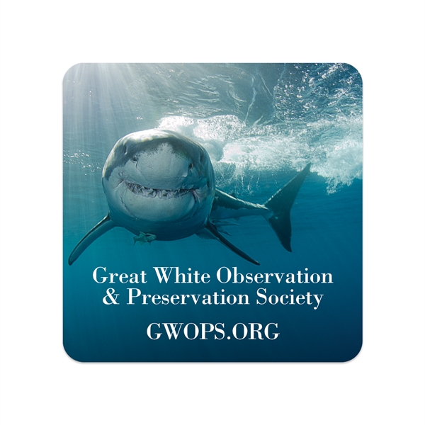 1 3/4" x 1" square shaped white static vinyl decals with... from ASI 56950 Gill Studios Inc / Gill-Line®