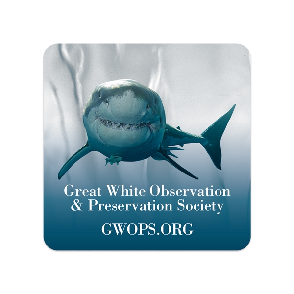 1 3/4" x 1" square shaped chrome polyester decals with permanent... from ASI 56950 Gill Studios Inc / Gill-Line®