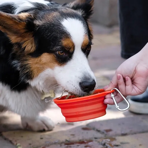 Collapsible Pet Bowl with carabiner to attach to bags.... from ASI 54040 Fey Promo / Mi Line by Fey
