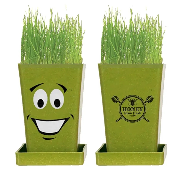 Expression Planter 1-Pack Planter... from ASI 30270 Aakron Line
