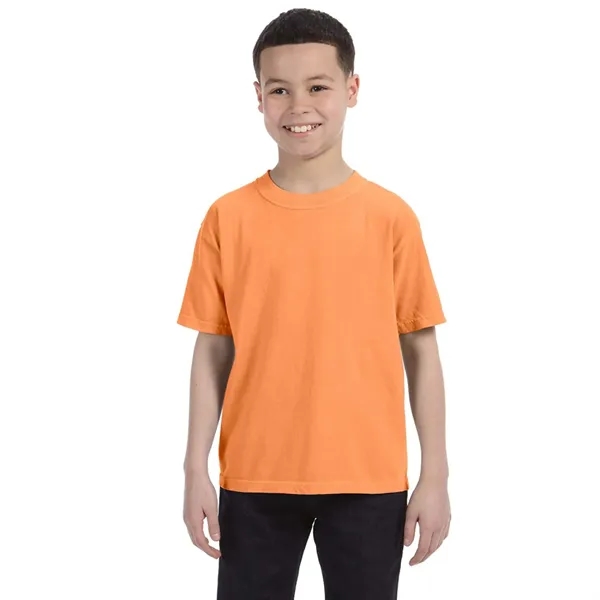 COMFORT COLORS YOUTH 5.4 OZ. T-SHIRT... from ASI 30208 A P Specialties / AP Specialties