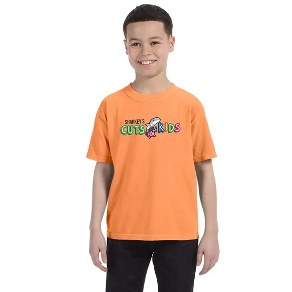 COMFORT COLORS YOUTH 5.4 OZ. T-SHIRT... from ASI 30208 A P Specialties / AP Specialties