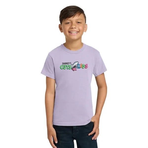 COMFORT COLORS YOUTH 5.4 OZ. T-SHIRT... from ASI 30208 A P Specialties / AP Specialties
