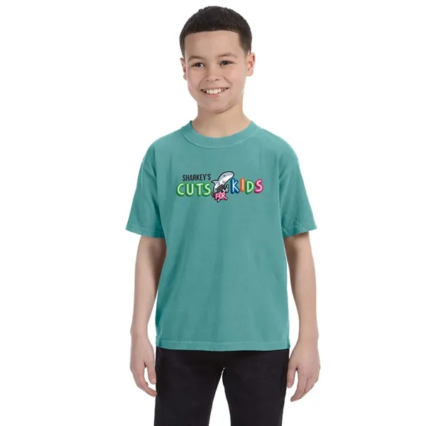 COMFORT COLORS YOUTH 5.4 OZ. T-SHIRT... from ASI 30208 A P Specialties / AP Specialties