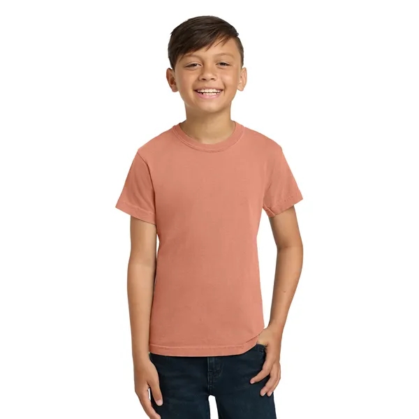 COMFORT COLORS YOUTH 5.4 OZ. T-SHIRT... from ASI 30208 A P Specialties / AP Specialties