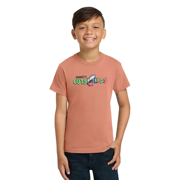 COMFORT COLORS YOUTH 5.4 OZ. T-SHIRT... from ASI 30208 A P Specialties / AP Specialties