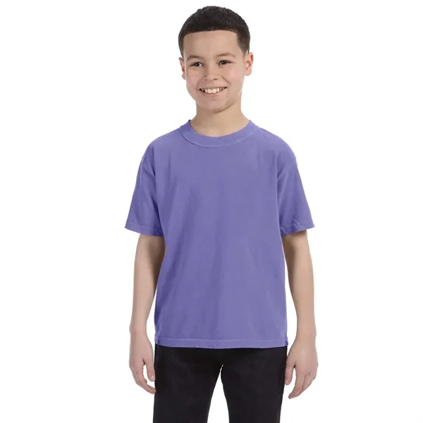 COMFORT COLORS YOUTH 5.4 OZ. T-SHIRT... from ASI 30208 A P Specialties / AP Specialties