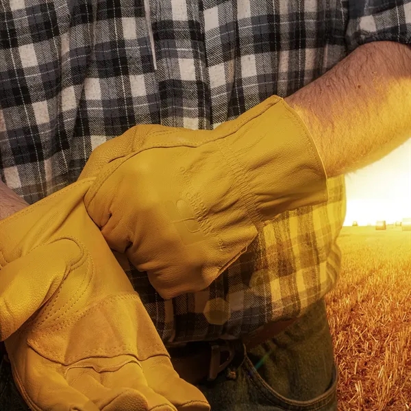 Our goatskin leather has a high tensile strength. Popular with technicians,... from ASI 46170 Compass Industries Inc