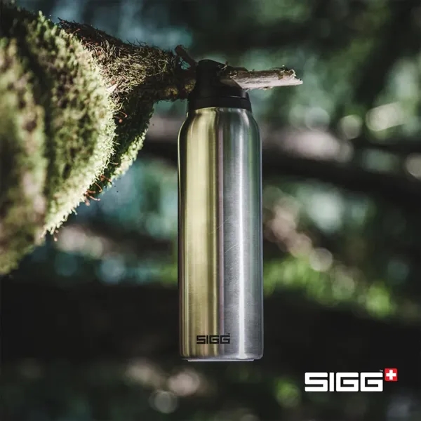 SIGG™ Hot & Cold Bottle 17oz... from ASI 84592 St Regis Group