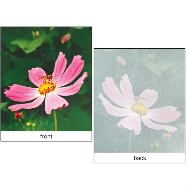 Full Color, Full Custom Sports Championship Banner Single Sided V-Cut... from ASI 80228 Quinn